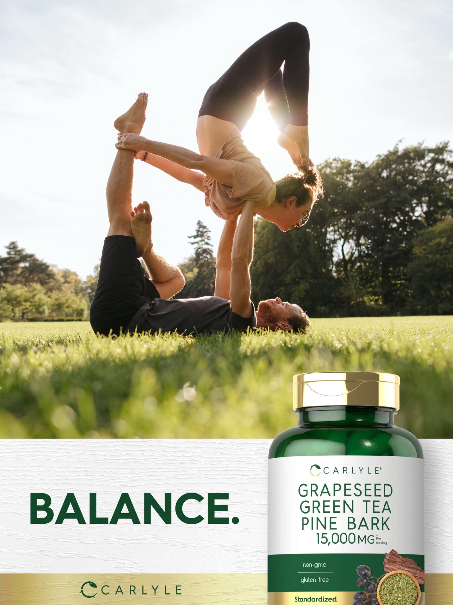 Carlyle Grape Seed Green Tea & Pine Bark Complex Capsules, 150 Count