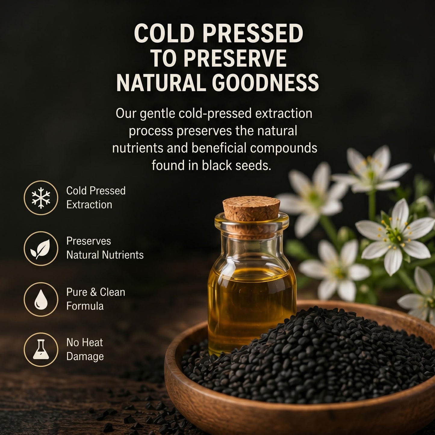 Purixia Ethiopian Black Seed Oil Softgels 90 Count