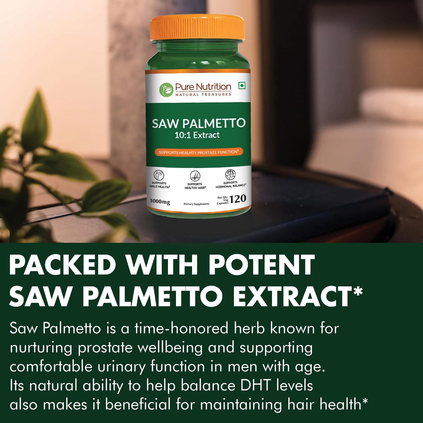 Pure Nutrition Natural Treasures Saw Palmetto 10:1 Extract Capsules 120 Count