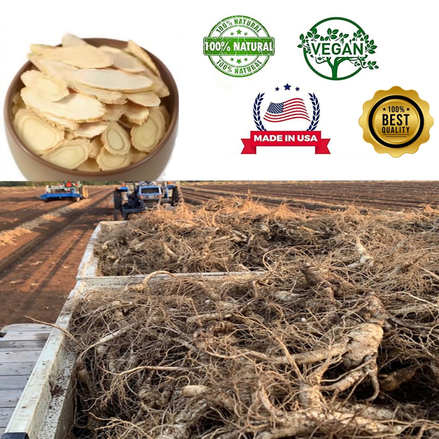 DABC OAK LAND American Ginseng Tablet 4 Count