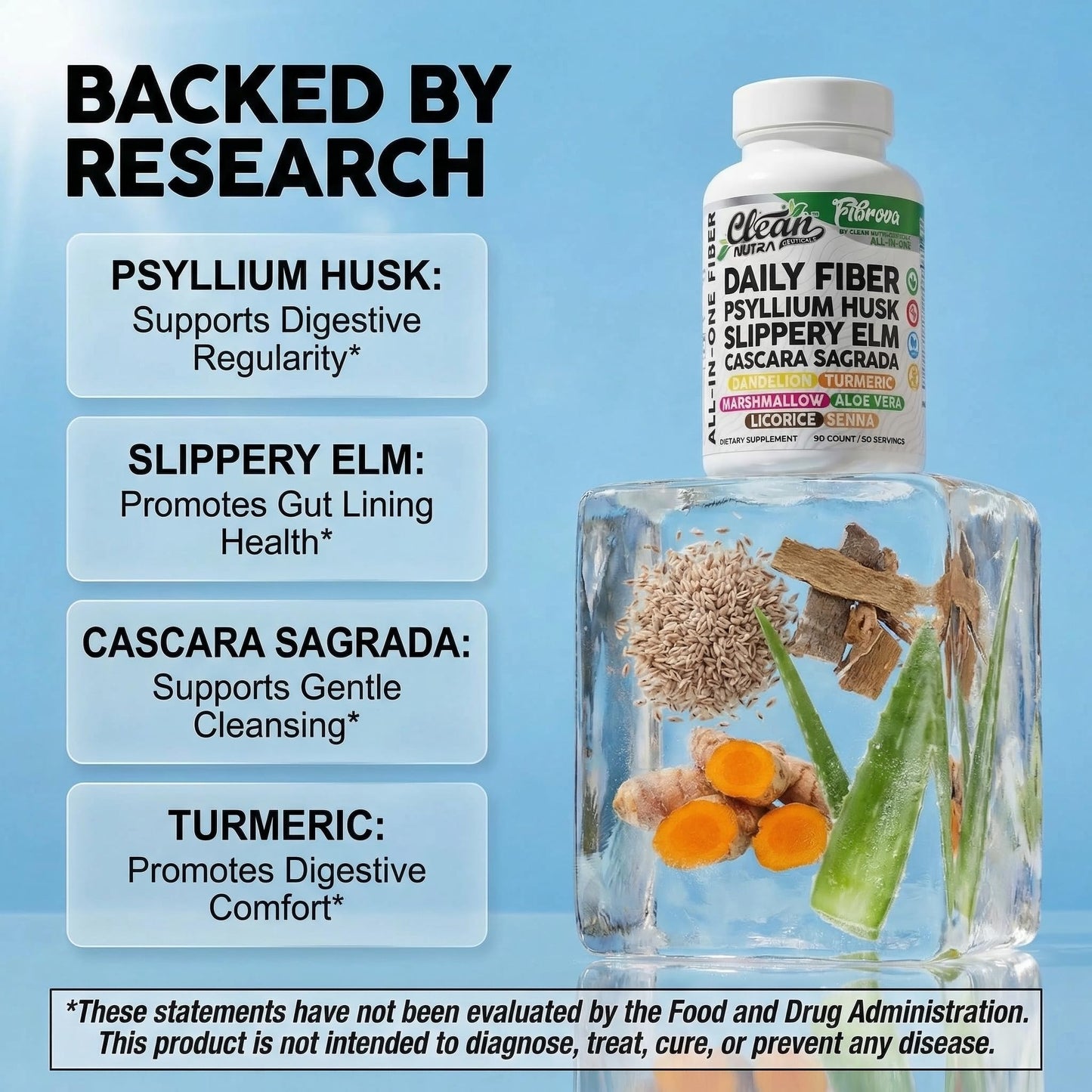 Clean Nutraceuticals Fiber Supplement, 90 Capsules