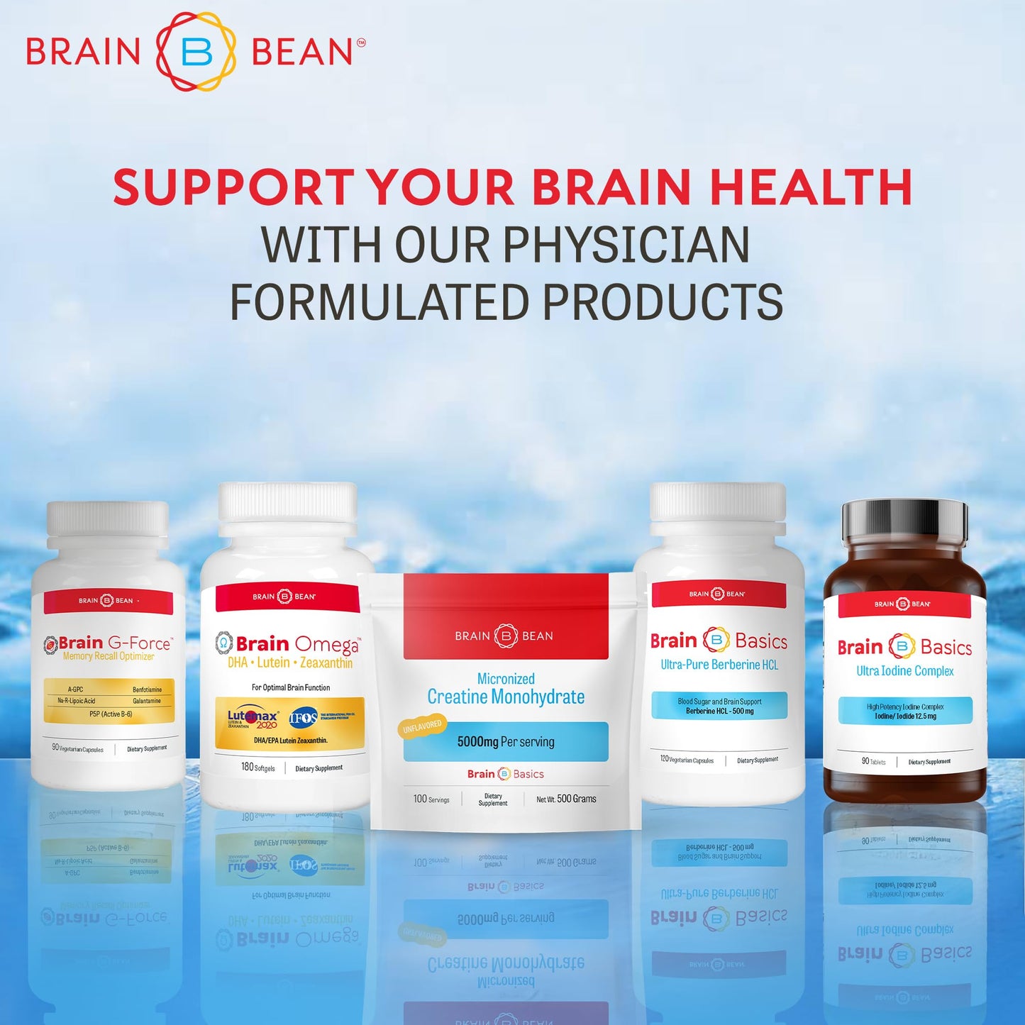 Brain Bean Creatine Monohydrate Powder 17.6 oz