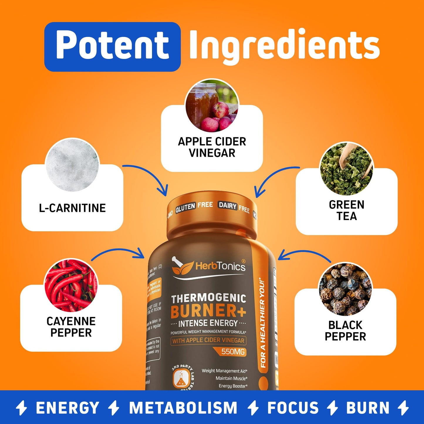 Herbtonics Thermogenic Burner + Apple Cider Vinegar – Weight Management Supplement for Women & Men, Supports Appetite Management, Metabolism & Energy, 60 Capsules