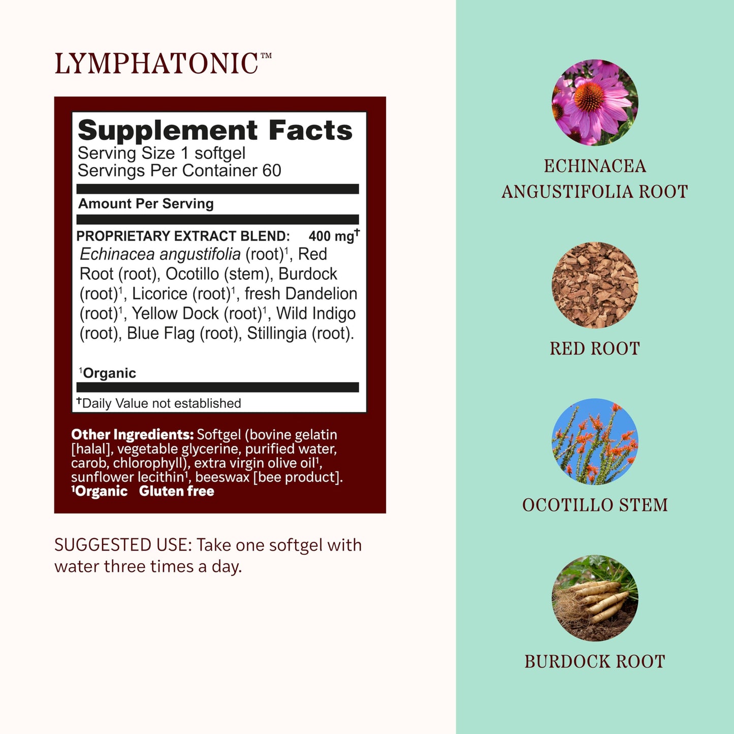 Herbs Etc. Lymphatonic Softgels, Immune & Lymphatic Support, 60 Count