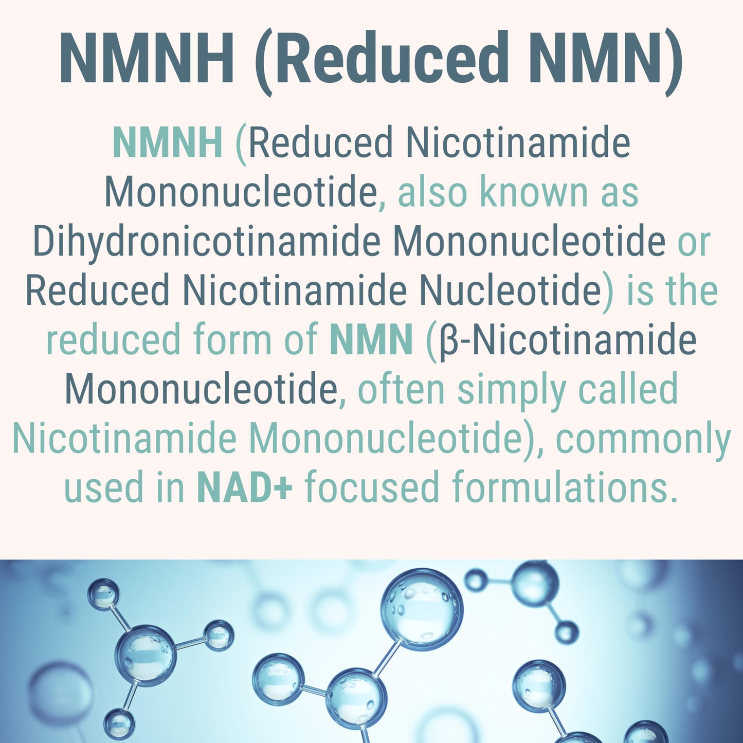 SHIZAM NMN NMNH NAD+ Gummies – NAD Supplement with Reduced Nicotinamide Mononucleotide, TMG (Trimethylglycine, Betaine) & Trans-Resveratrol, Methylated B-Complex, 60 Gummies