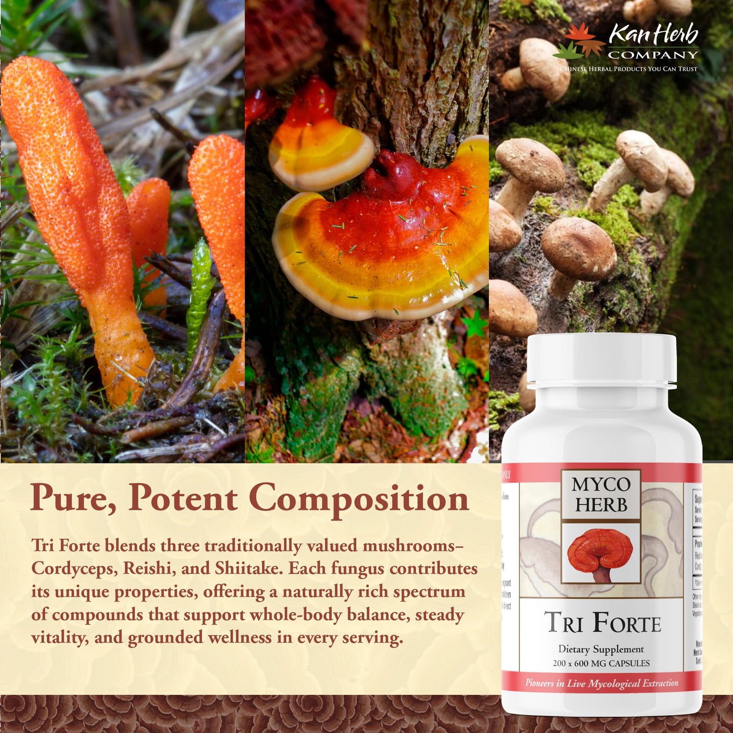 Kan Herbs Tri Forte Three-Mushroom Extract Tablets, 120 Count