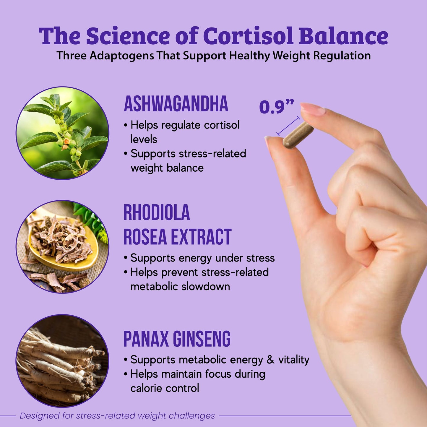 Dr. Matthew Cortisol Reducer for Weight Loss Capsules 60 Count