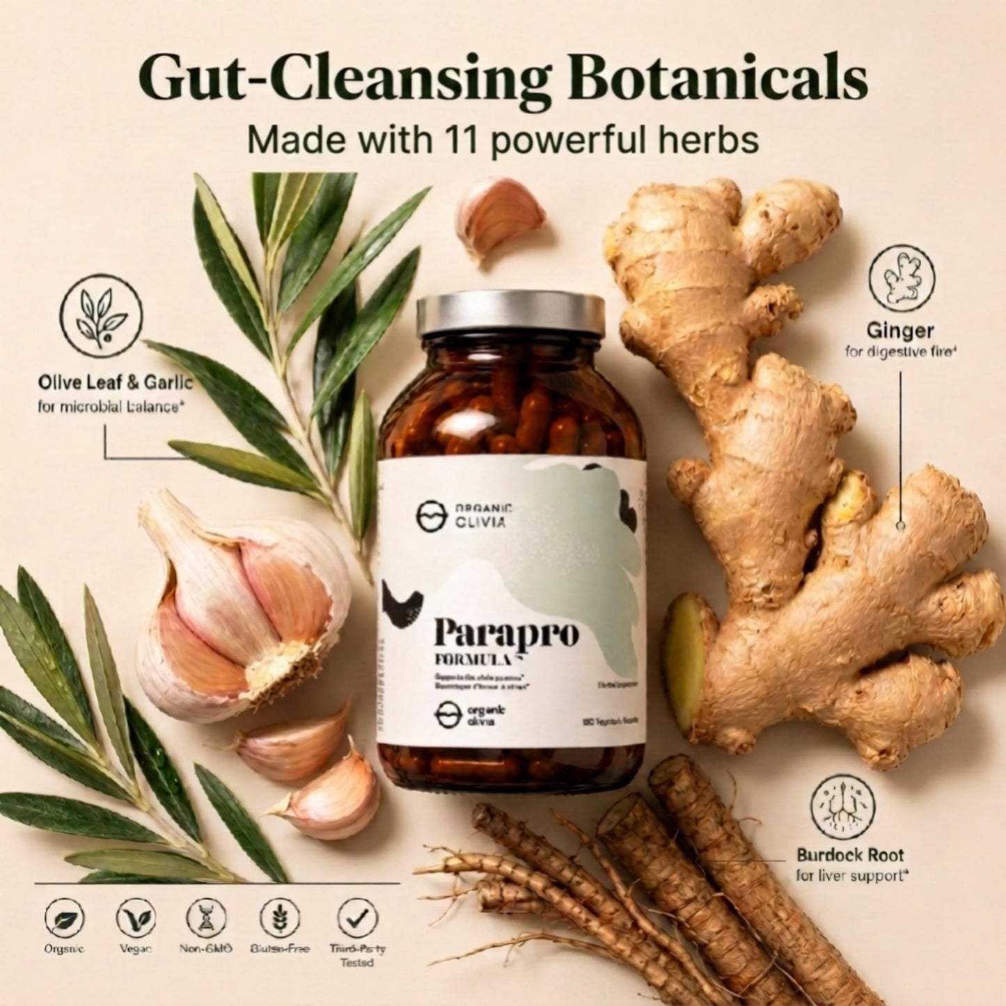Organic Olivia ParaPro Capsule 180