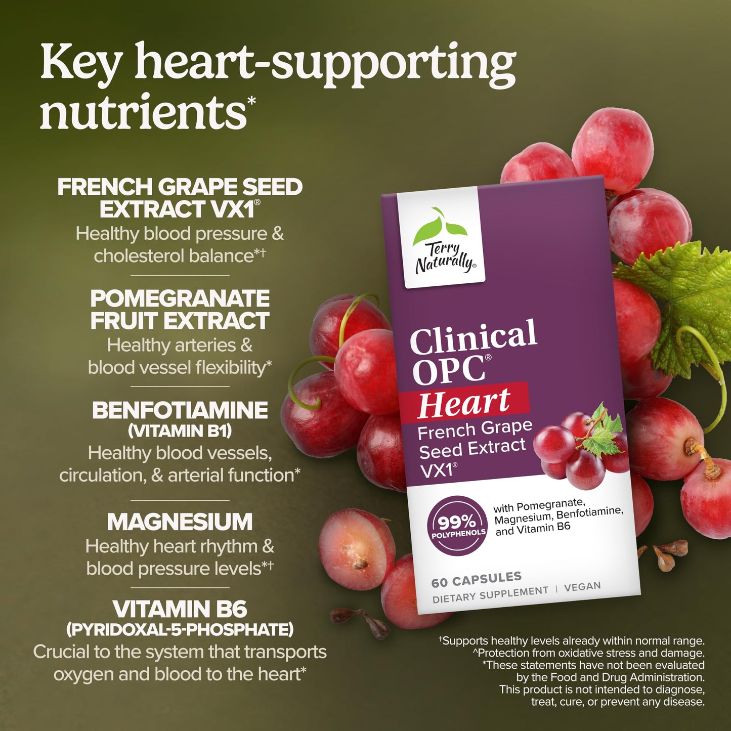 Terry Naturally Clinical OPC Heart - Artery Health & Circulation Capsule, 60 Count