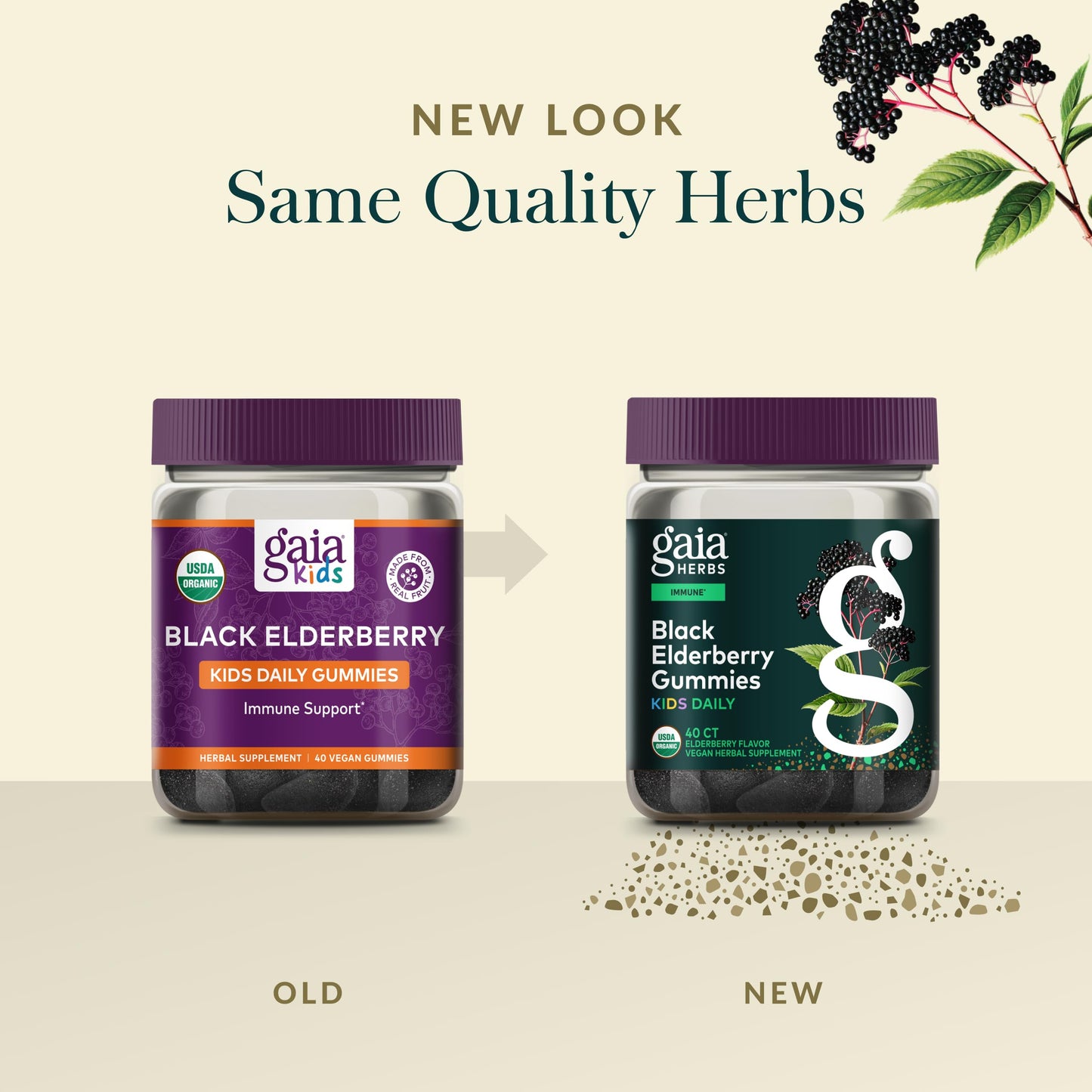 Gaia Herbs Black Elderberry Daily Gummies for Kids Capsules 40 Count