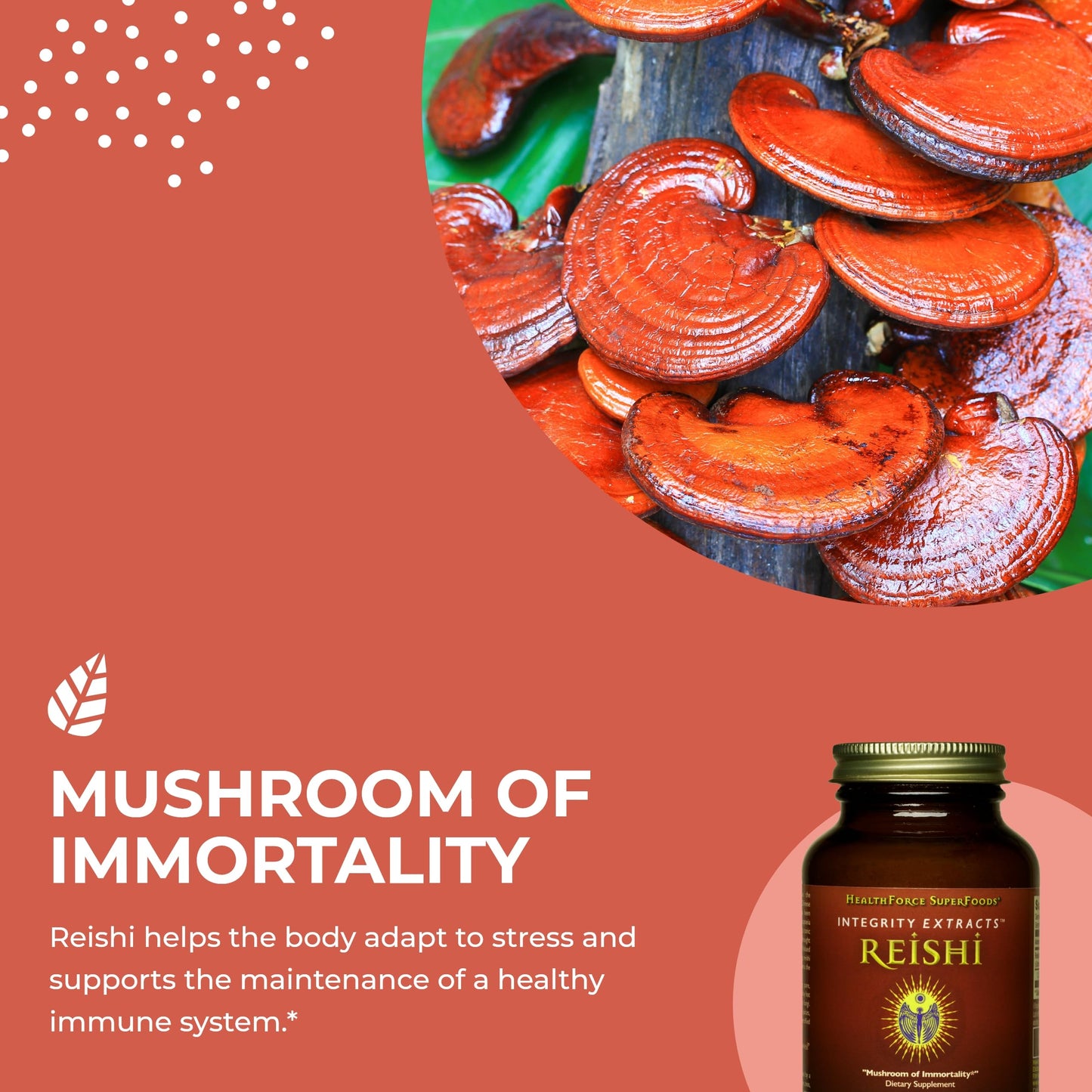 HEALTHFORCE SUPERFOODS Integrity Extracts Reishi Powder 2.2928