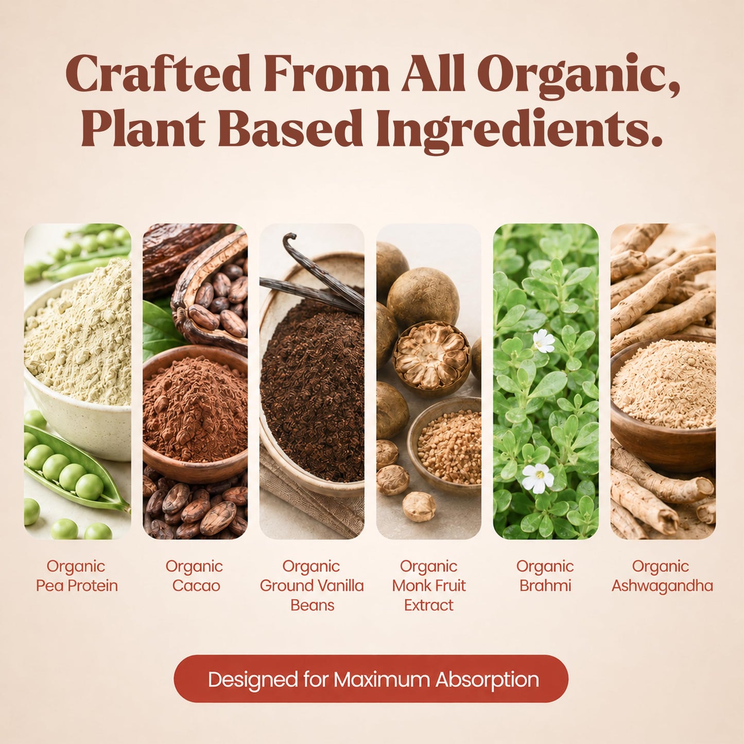 Elements Truffles Chocolate Plant Protein Powder, 20g Protein