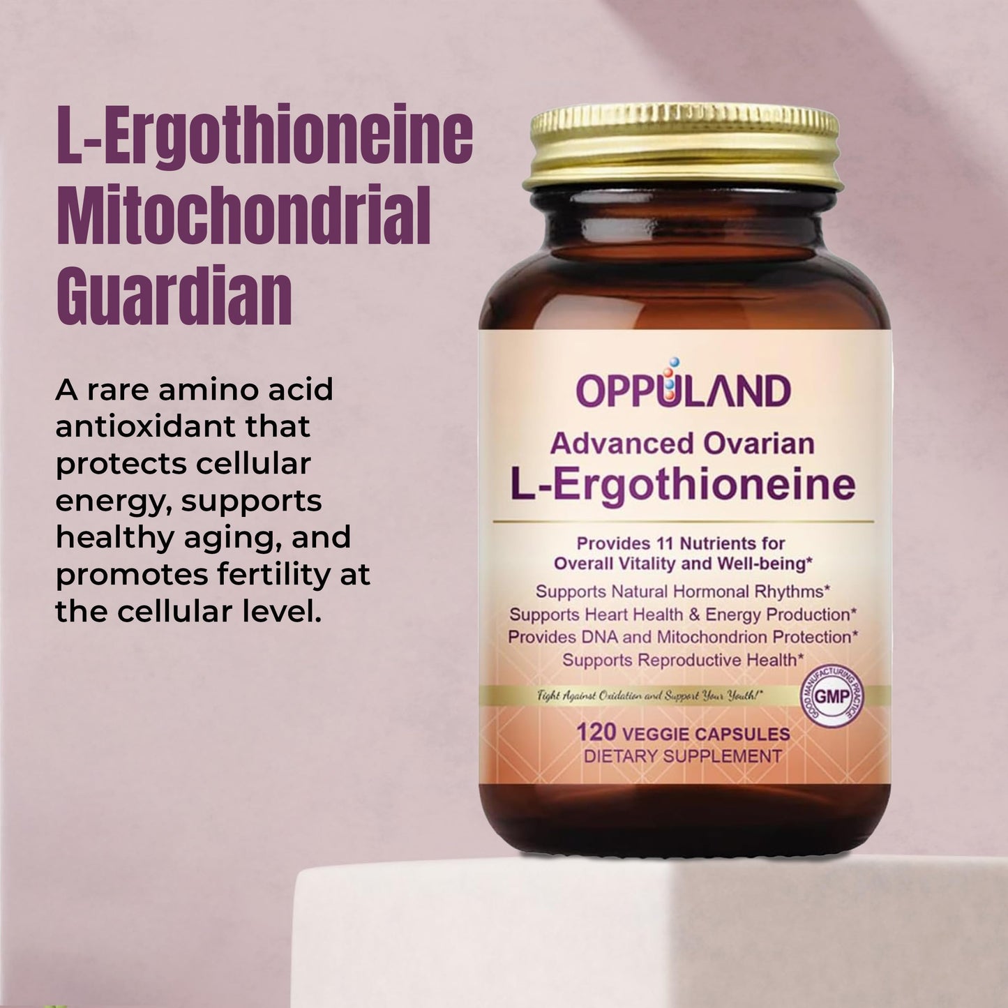 oppuland L-Ergothioneine Supplement for Women – Advanced Ovarian Support with Inositol, CoQ10, Vitex, and Multivitamins – Supports Fertility, Ovulation, Hormone Balance – 120 Capsules