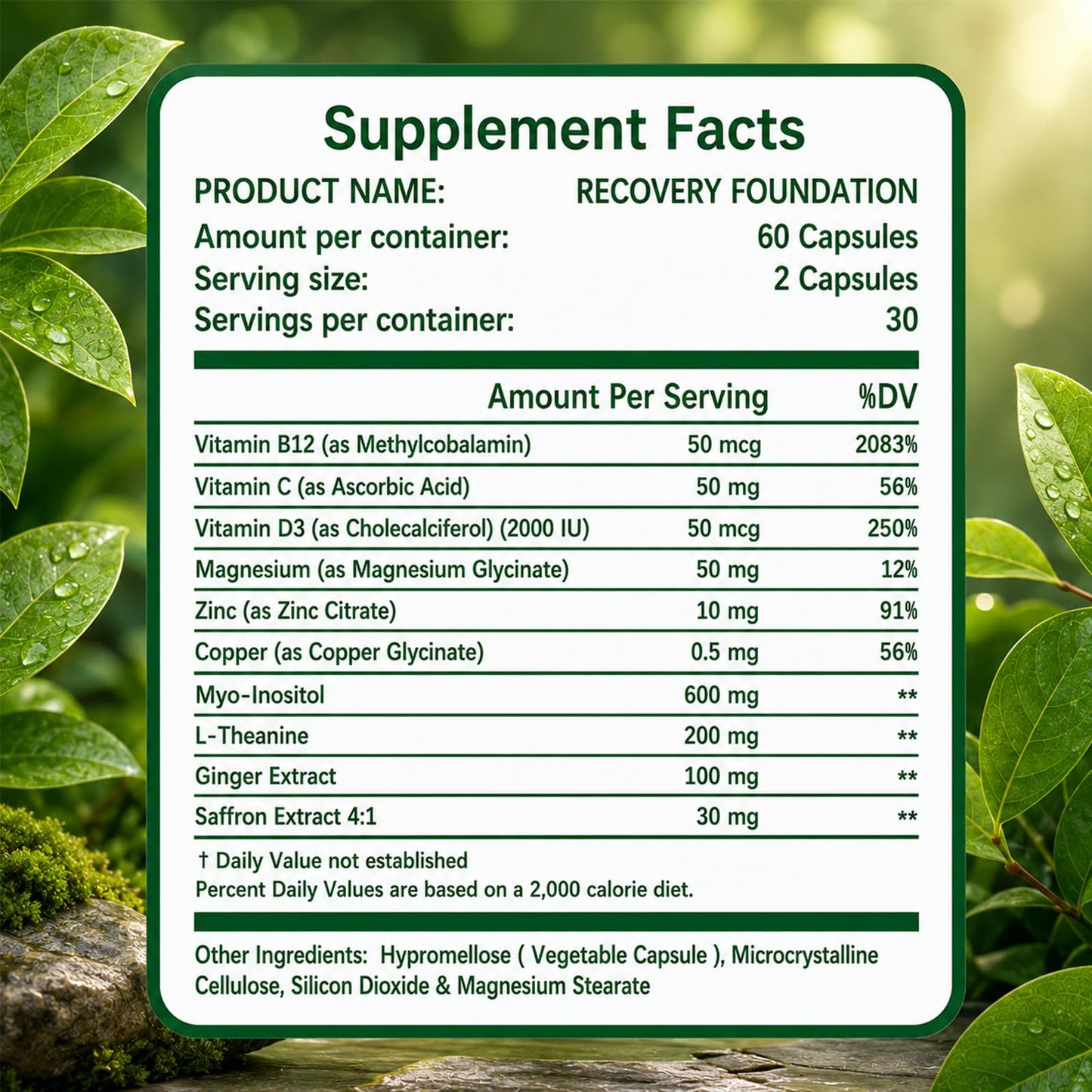 Lyva Zafira Recovery Foundation Capsules 60 Count