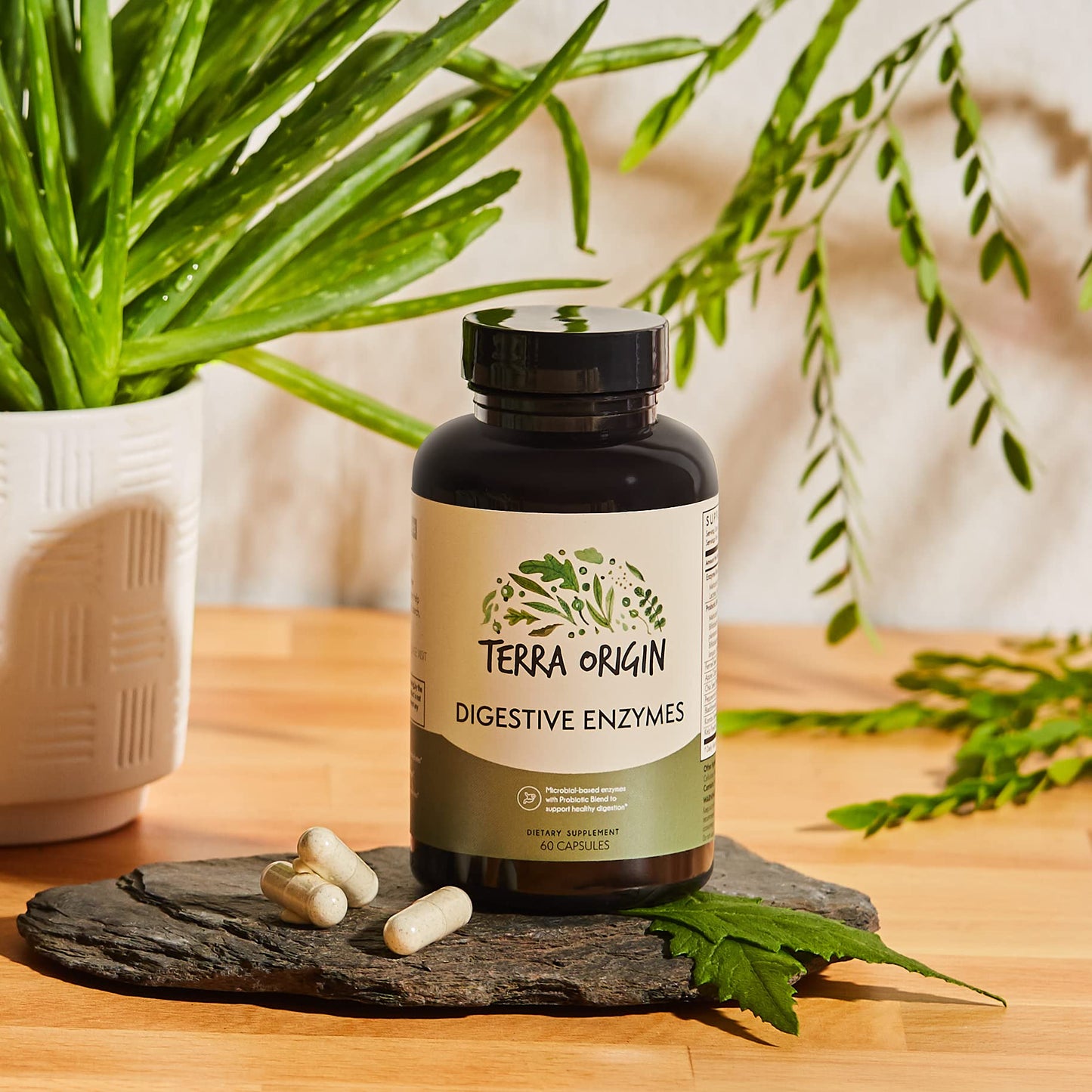 TERRA ORIGIN Digestive Enzymes with Probiotics & Prebiotics, 60 Capsules
