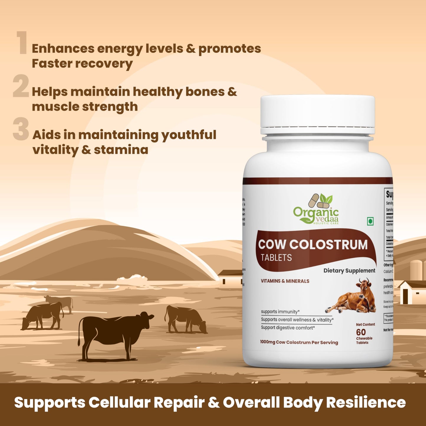 ORGANIC VEDAA HOLISTIC CARE Natural Fiber Supplement for Digestive Health & Regularity Capsule, 1 Count