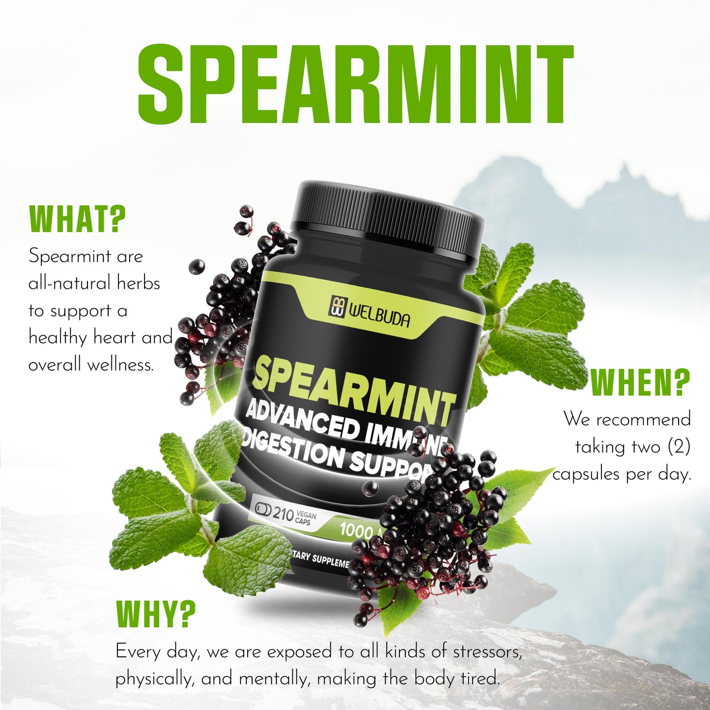 WELBUDA Spearmint Supplement with Olive Leaf, Ginger Root, Black Pepper 210 Capsules