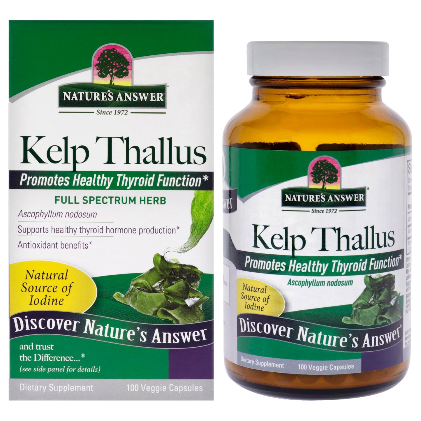Nature's Answer Kelp Thallus Capsule 100