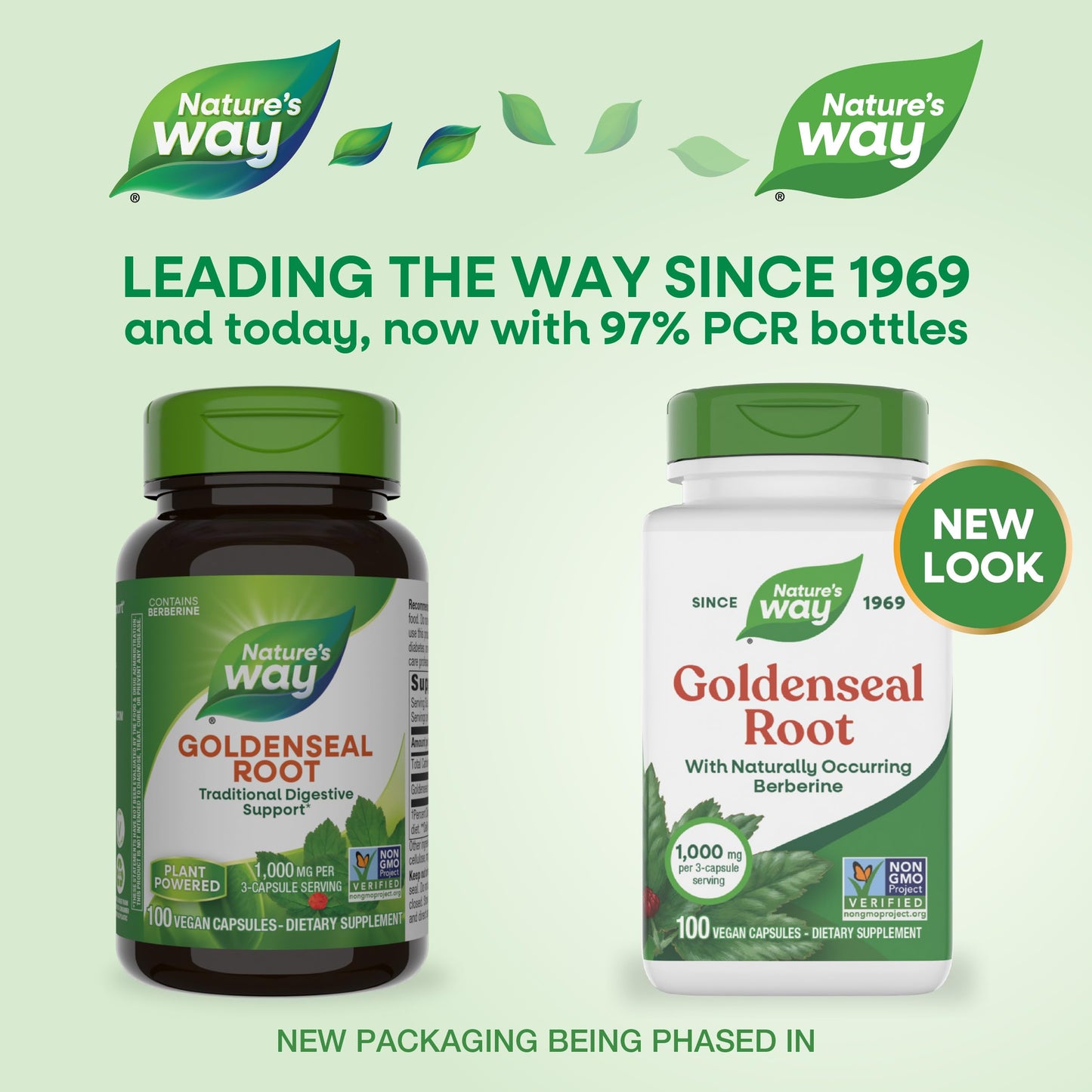 Nature's Way Goldenseal Root Capsule, 100 Count