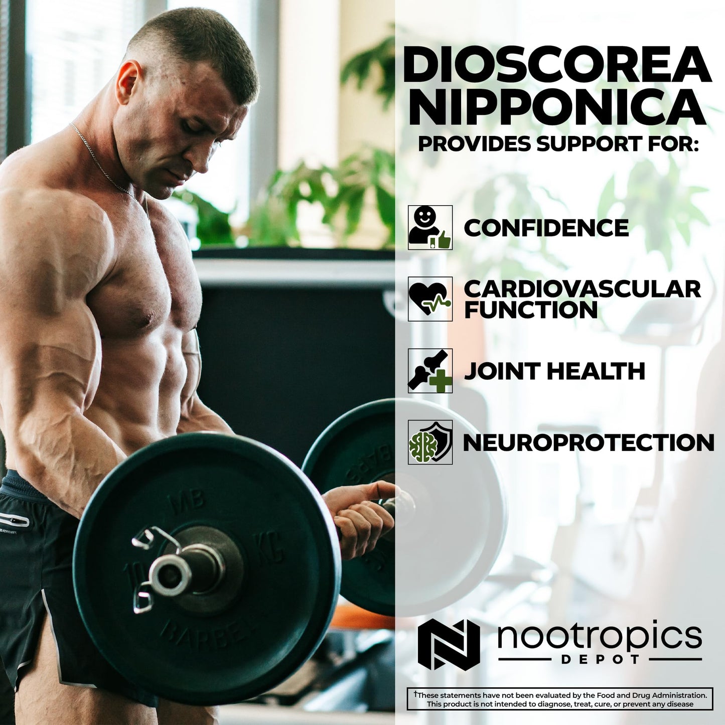 Nootropics Depot Dioscorea nipponica Capsules 180 Count