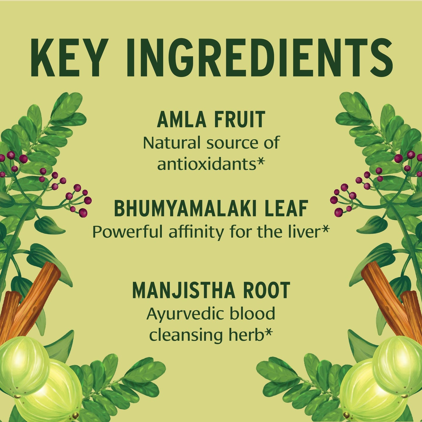 Banyan Botanicals Organic Total Body Cleanse Tablets 90 Count