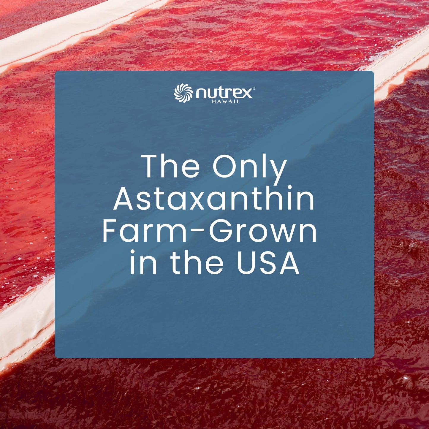 Nutrex Hawaii Vegan JointAstin Hawaiian Astaxanthin 12mg, 120 Softgels