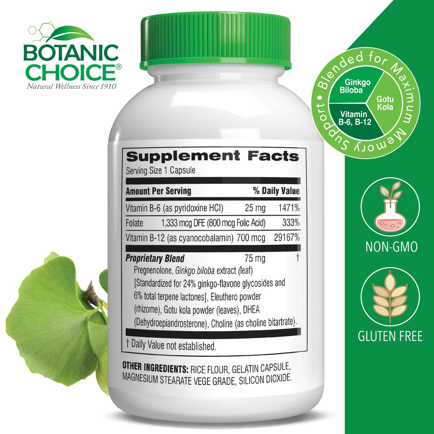 Botanic Choice Advanced Memory Complex - Mood Support Brain Supplements for Memory and Focus - Proprietary Herbal Blend with Ginkgo Biloba Capsules, 60 Count