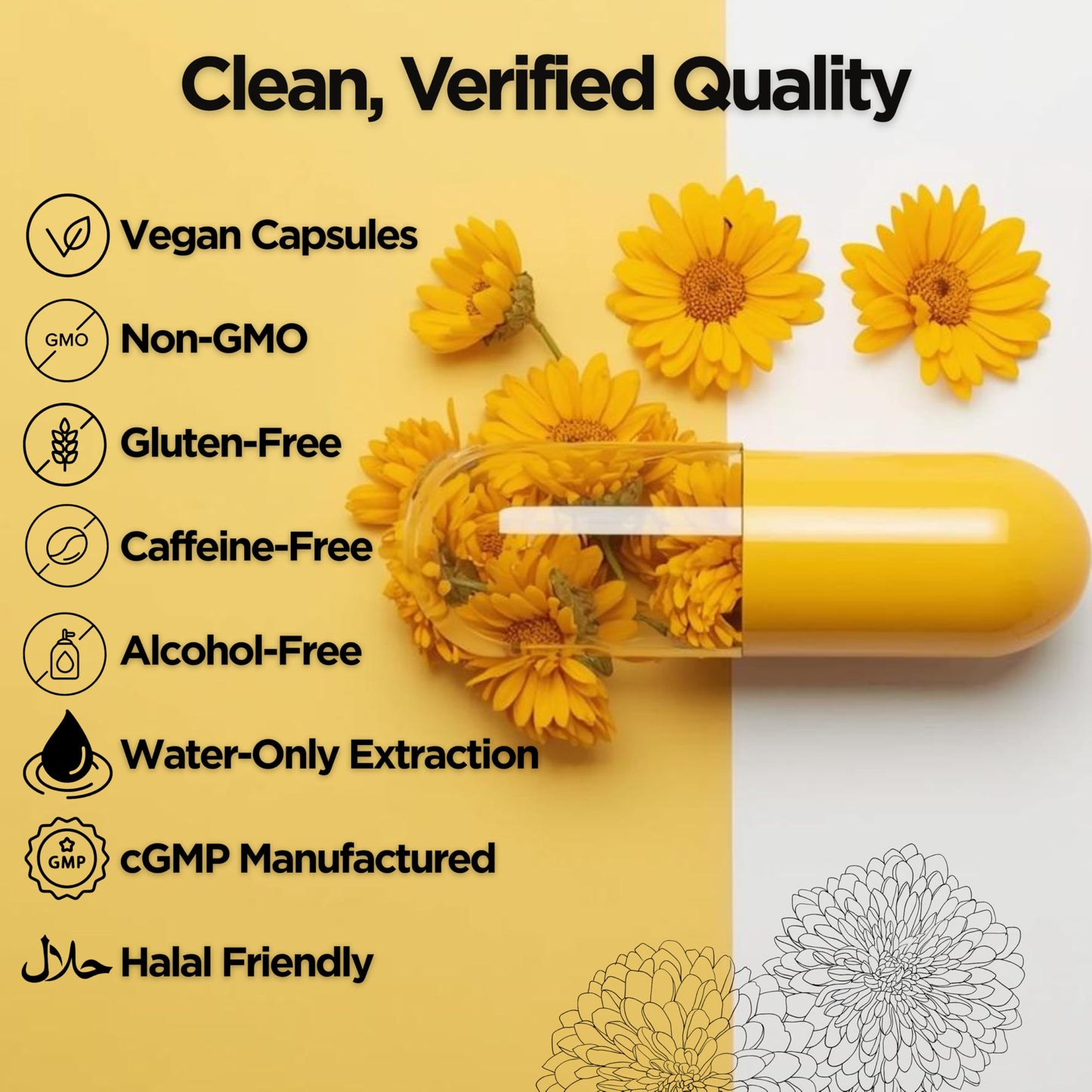 Nourafia Chrysanthemum Flower Extract Capsules 120 Capsules