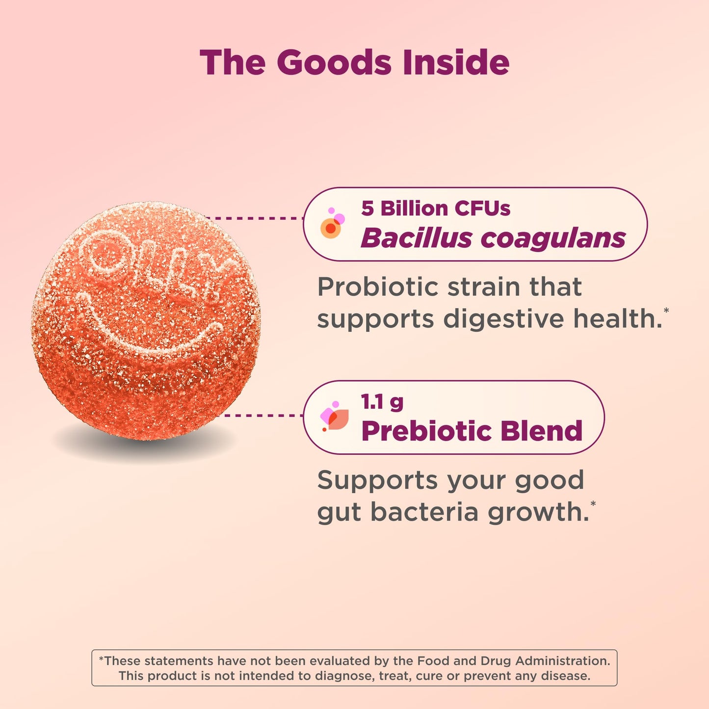 OLLY Probiotic + Prebiotic Gummy, 60 Count