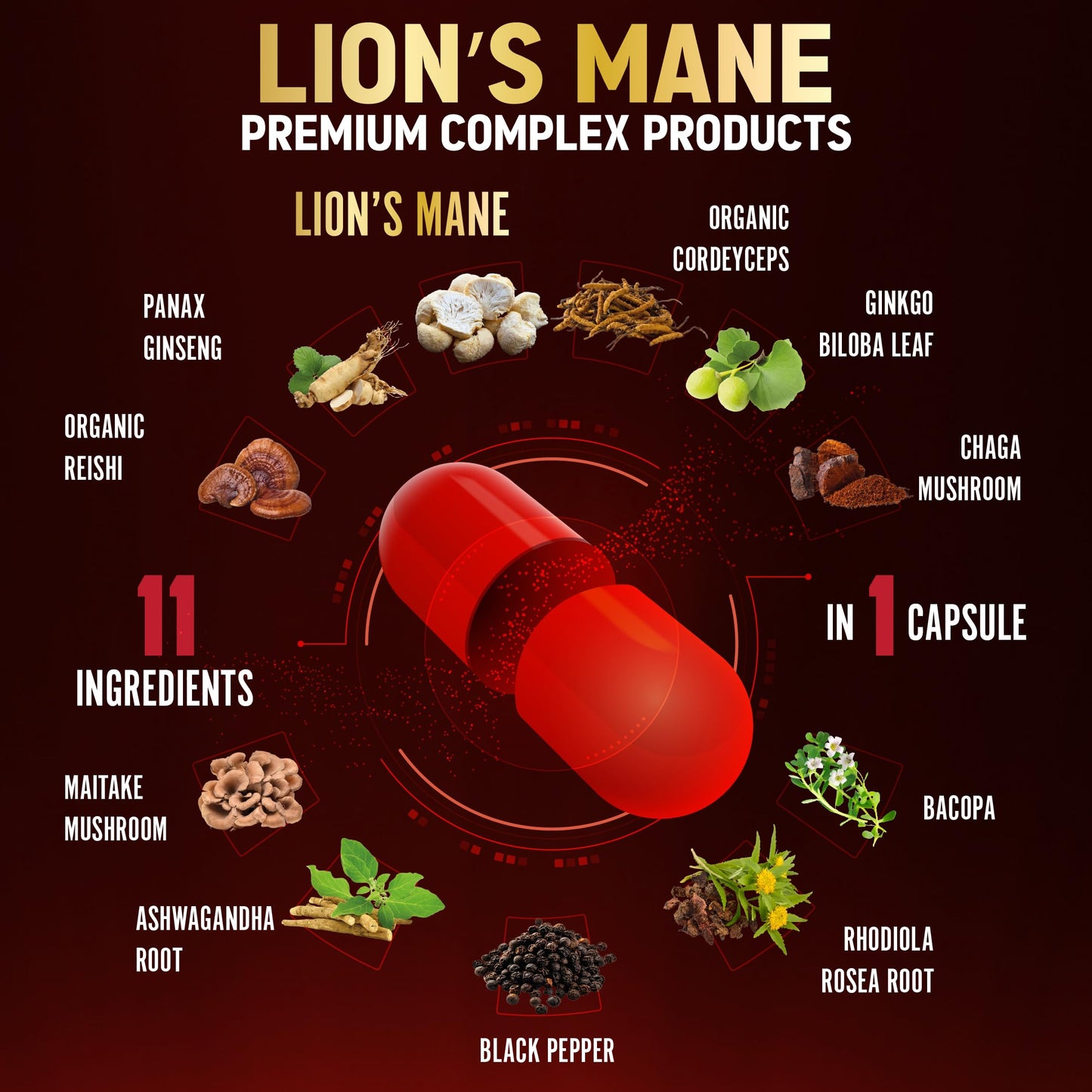 Zolotus 11 in 1 Lions Mane Mushroom Capsules, 90 Capsules