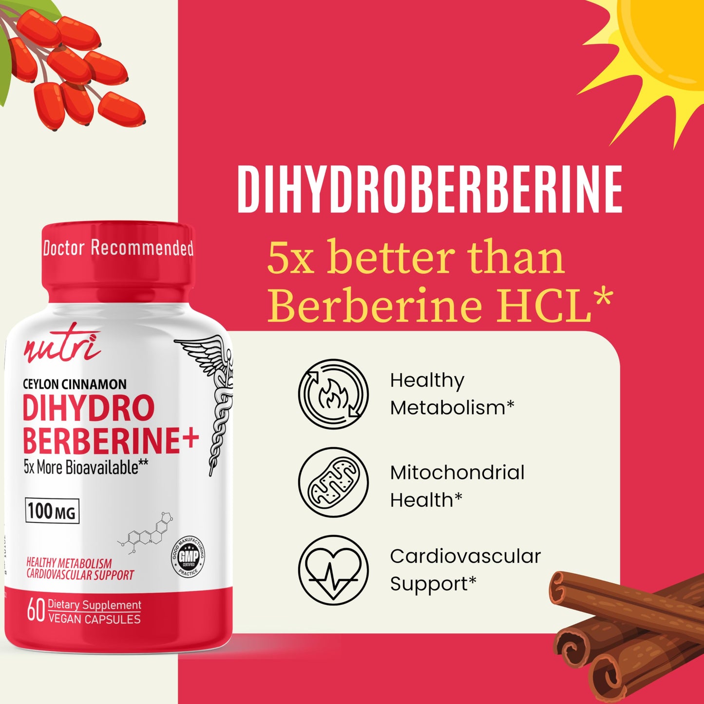 Nature's Fusions Nutri Dihydroberberine Supplement 100mg Capsules with 300mg Organic Ceylon Cinnamon Extract, 60 Count, 54X More Bioavailable Than Regular Berberine HCL, 3rd Party Tested, NSF Certified Facility