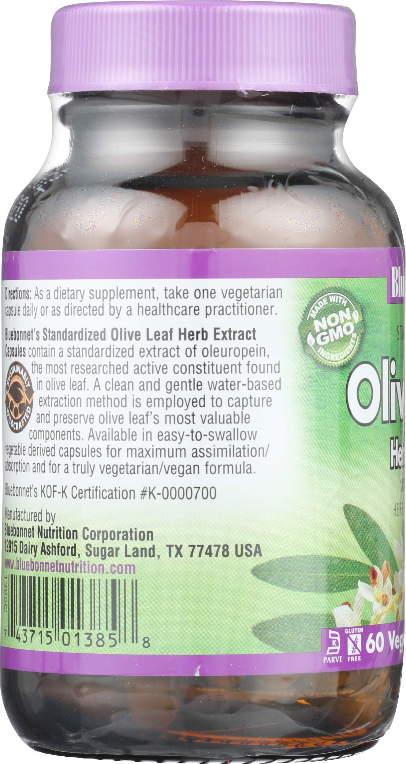 BlueBonnet Olive Leaf Extract Capsules, 60 Capsules