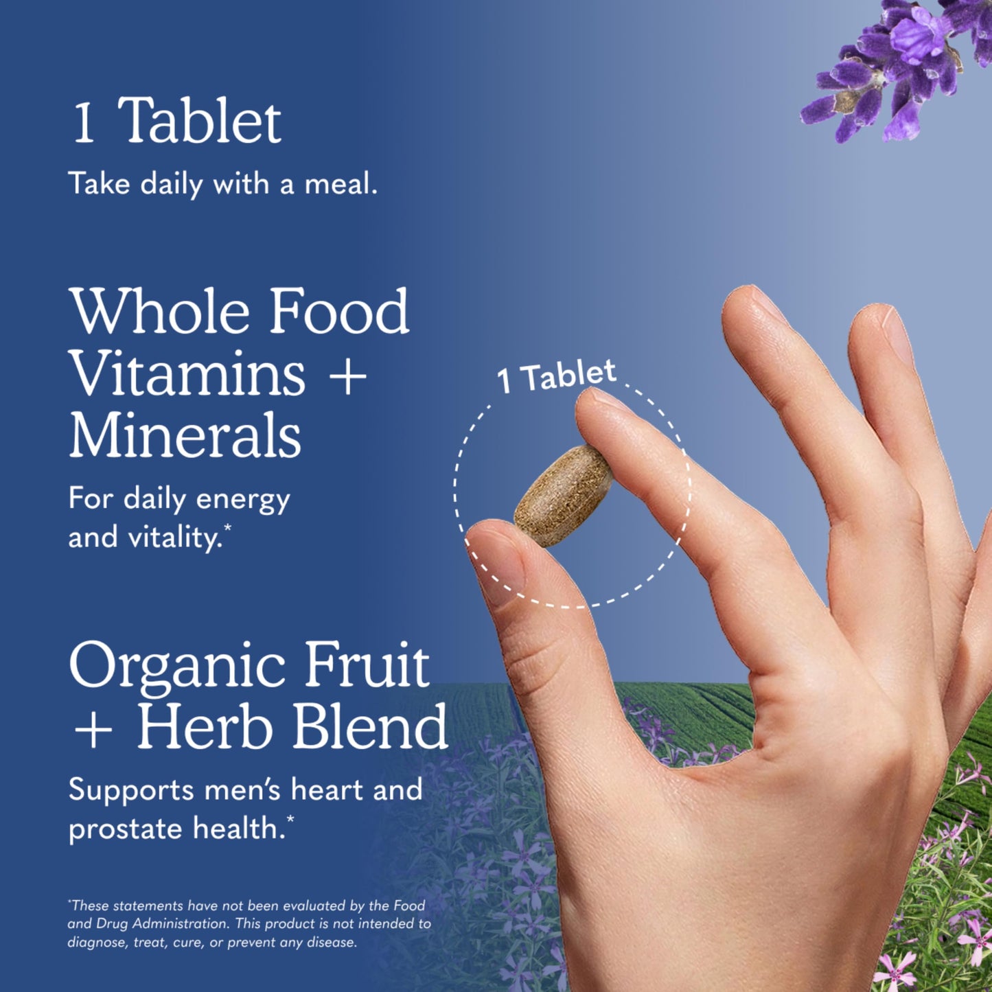 Garden of Life Once Daily Whole Food Multivitamin for Men 60 Tablets