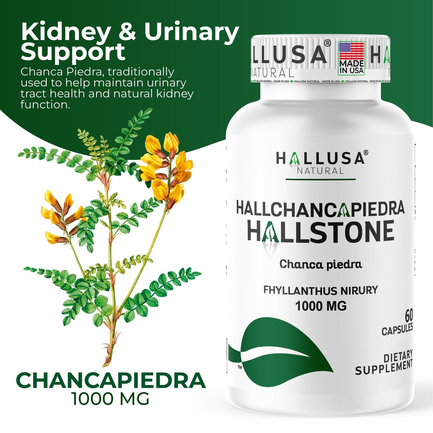 Hallusa Natural Hallchancapiedra 1000 mg Chanca Piedra Supplement, 60 Capsules