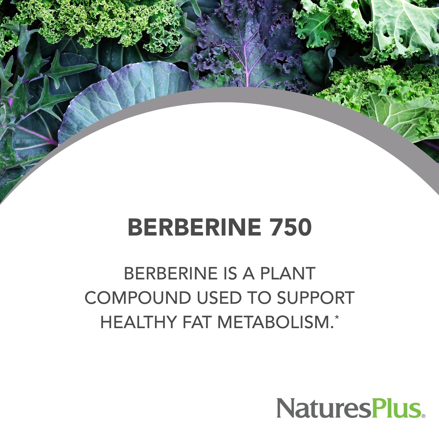 NaturesPlus PRO Berberine 750 mg Capsules 60 Count