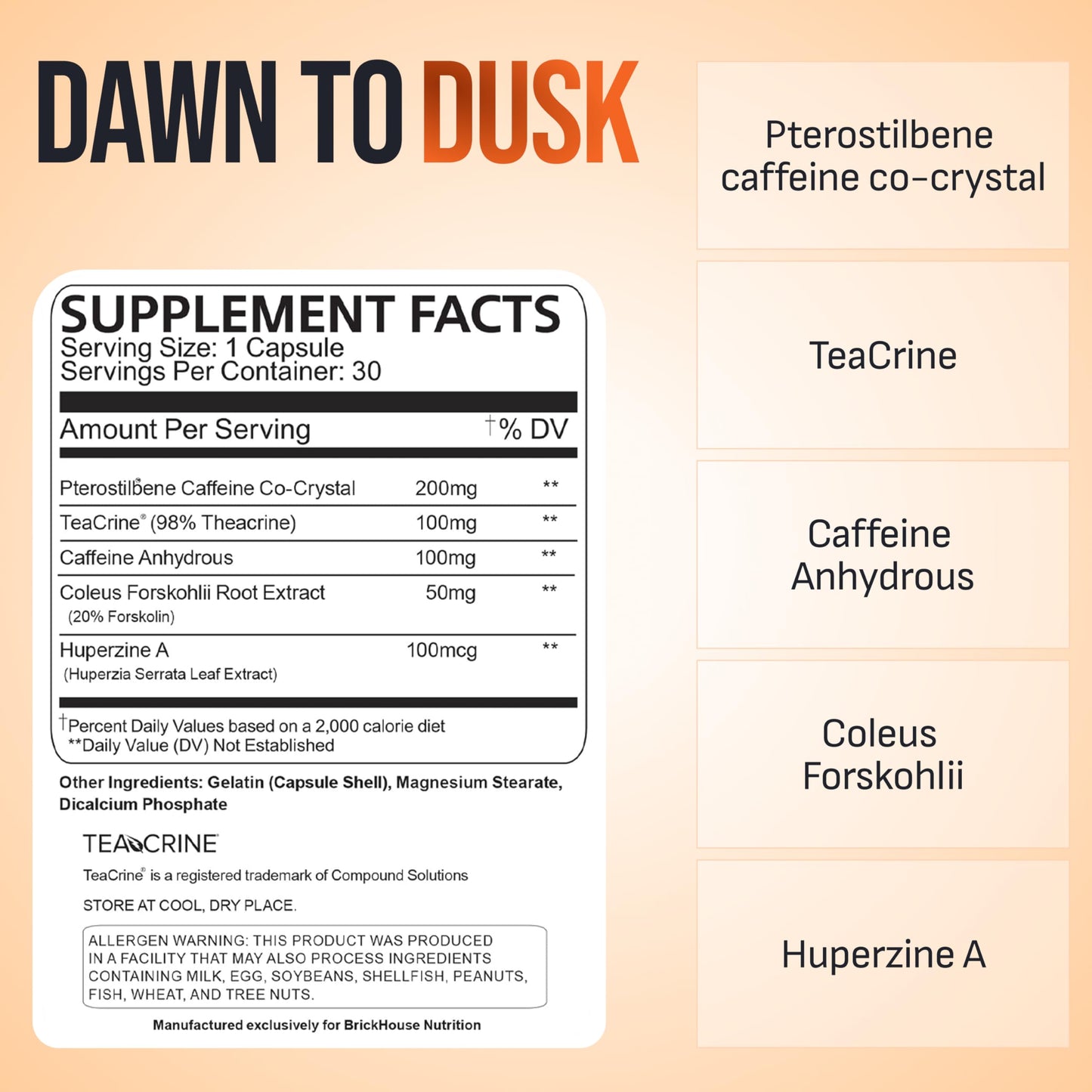 BRICKHOUSE NUTRITION Dawn to Dusk Energy Supplement Powder 1 Pack