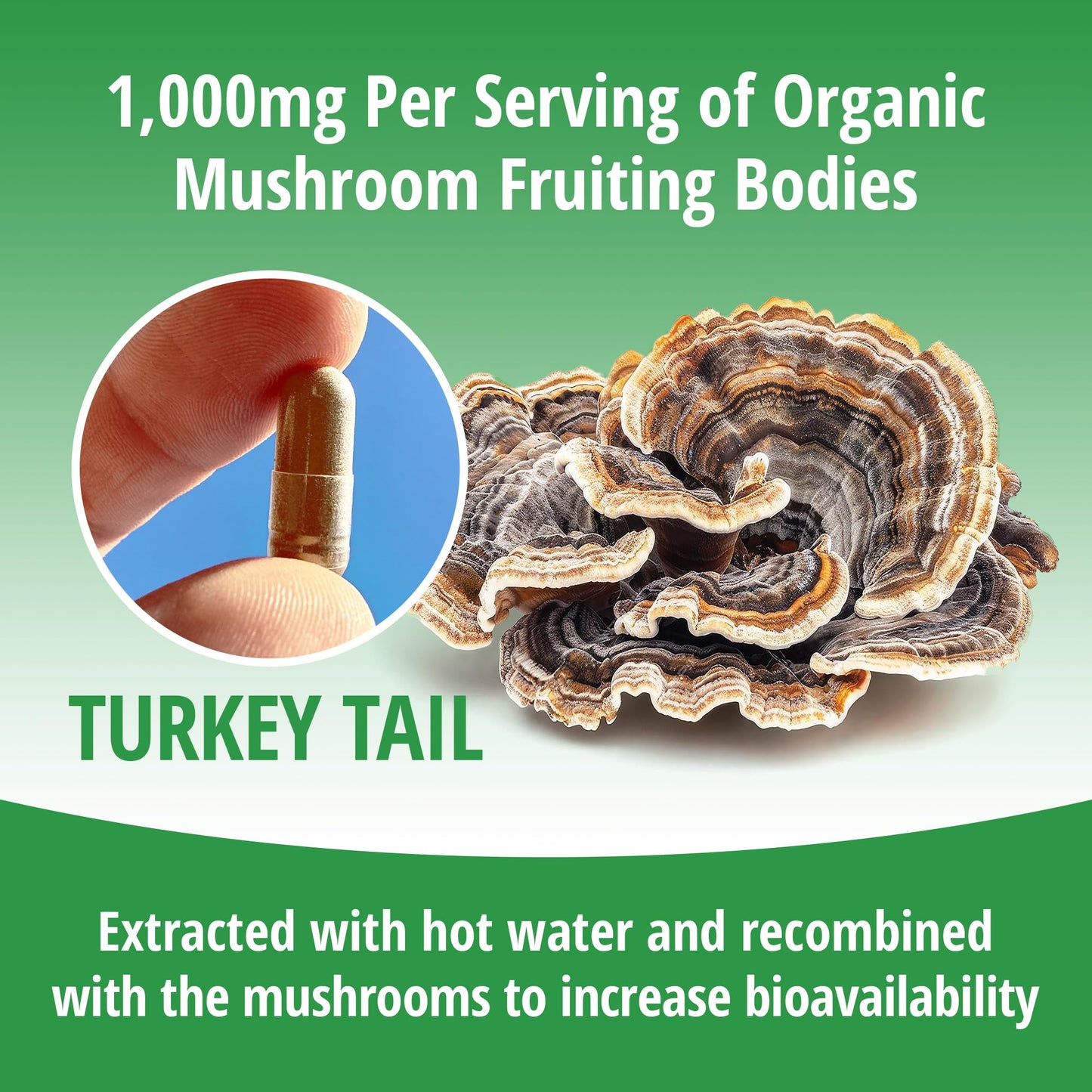 ENCAPSULATE Turkey Tail Capsules 1000mg – Premium Organic Fruiting Body 1:1 Extract – Adaptogen Mushroom Supplement for Digestive, Gut & Immune Support – Lab Tested & Max Bioavailability – 60 Capsules