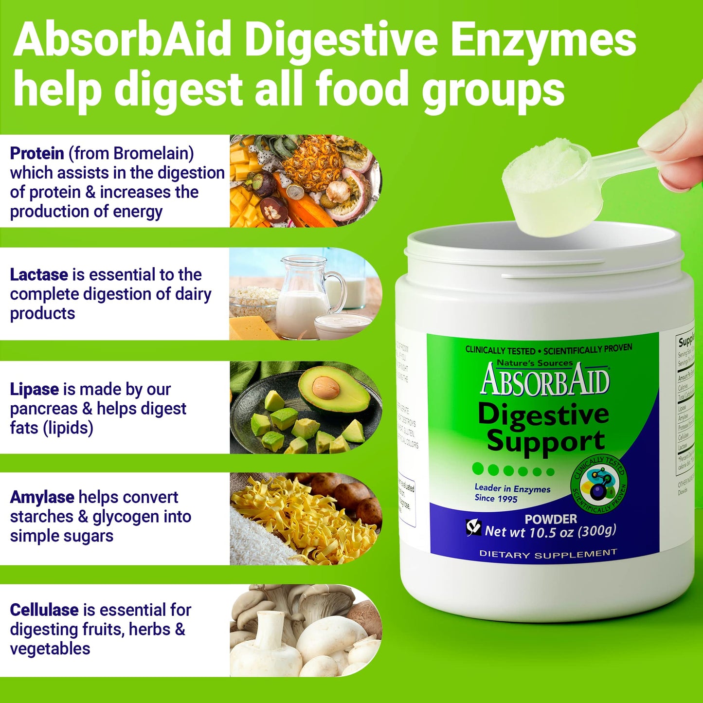AbsorbAid Digestive Enzymes Powder 10.58 oz