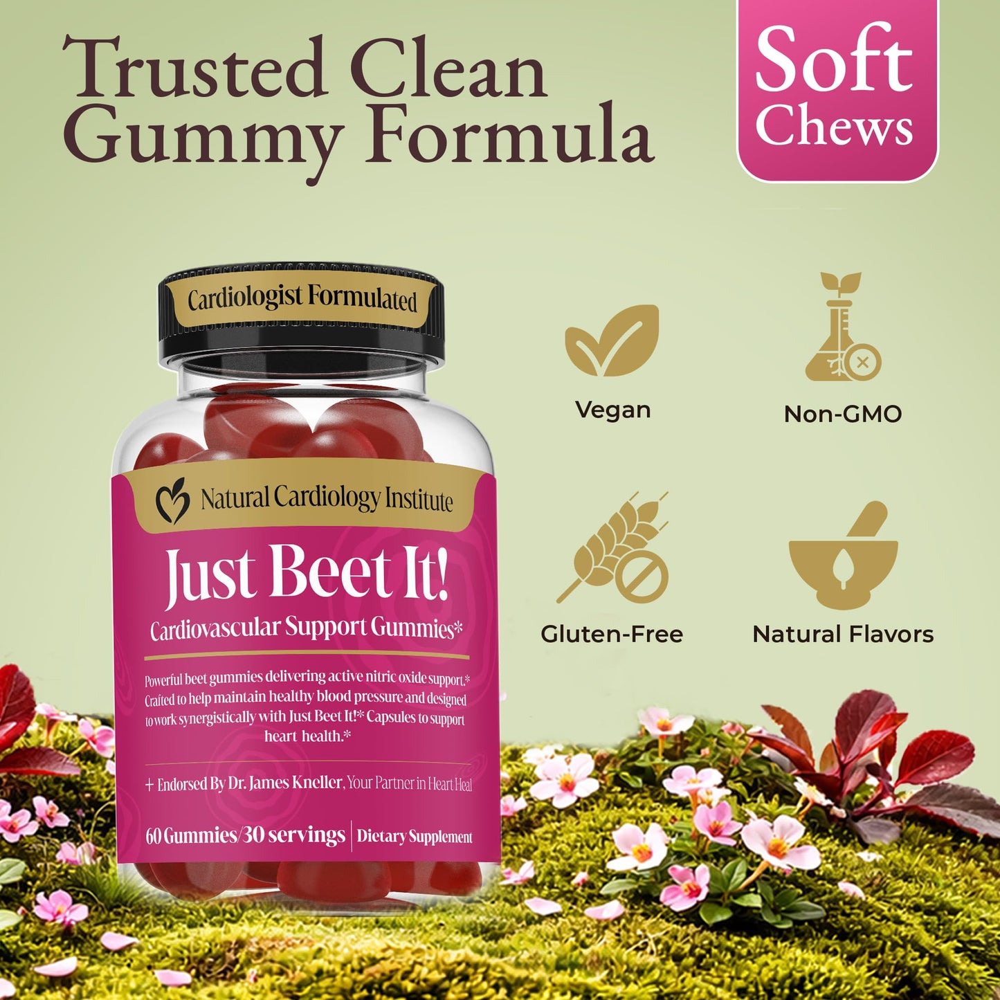 Natural Cardiology Institute Just Beet It! Beet Root Gummies 60 Gummies