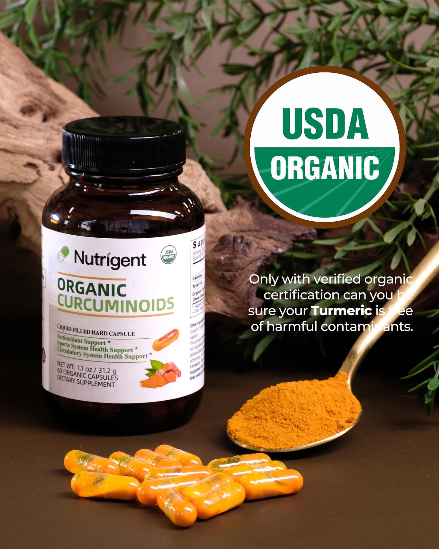 Nutrigent USDA Organic Turmeric Curcumin Supplement, Turmeric Extract with Curcuminoids 300 mg Capsule, 60 Count