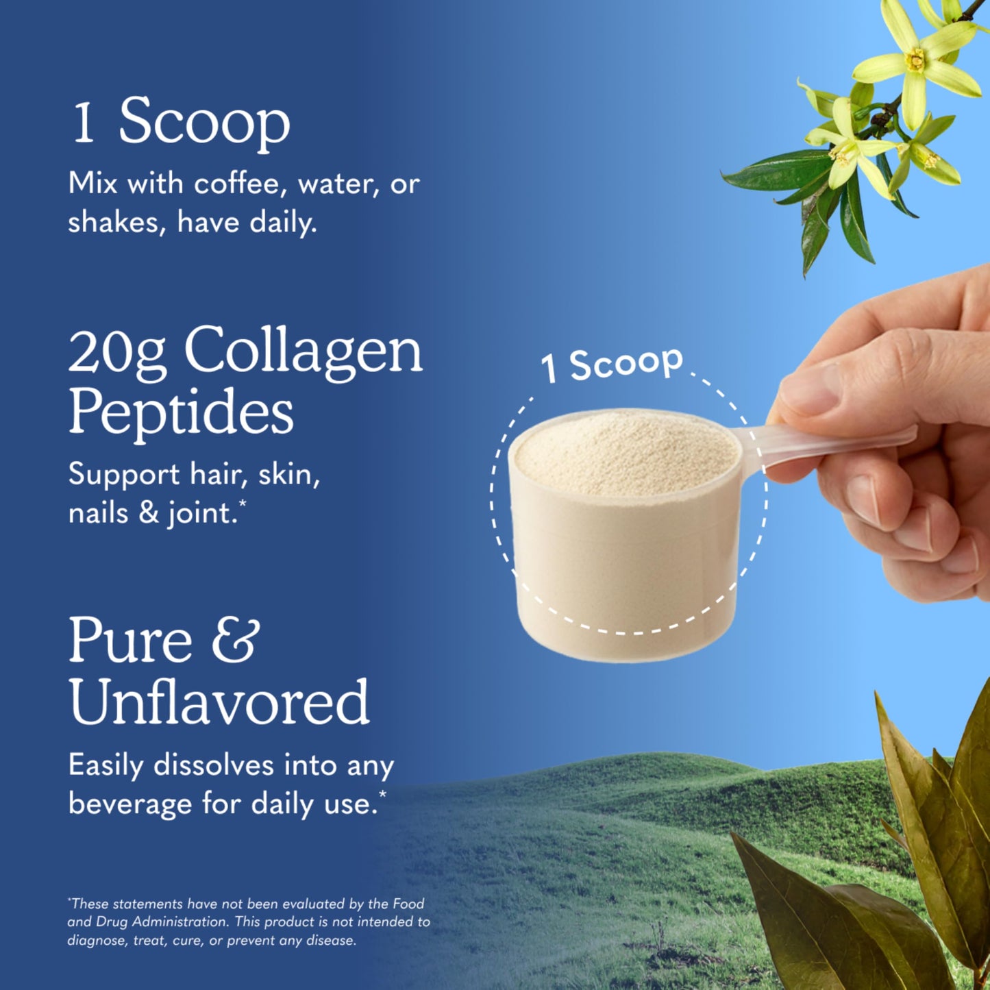 Garden of Life Grass Fed Collagen Peptides Powder Unflavored 19.8 oz