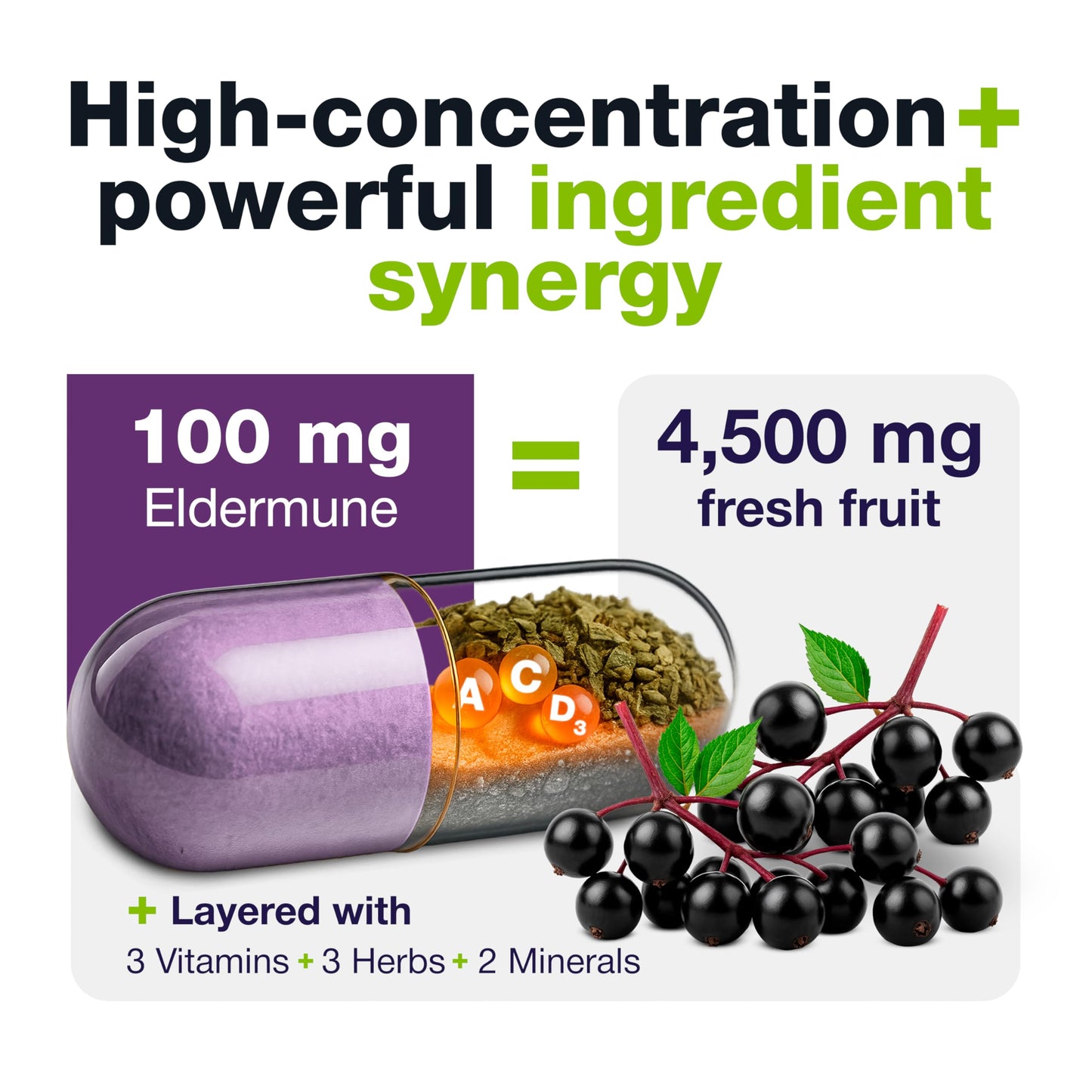 Hybrid EB Sambucus Elderberry Immune Support with Vitamin C, Zinc, Vitamin D3 60 Capsules