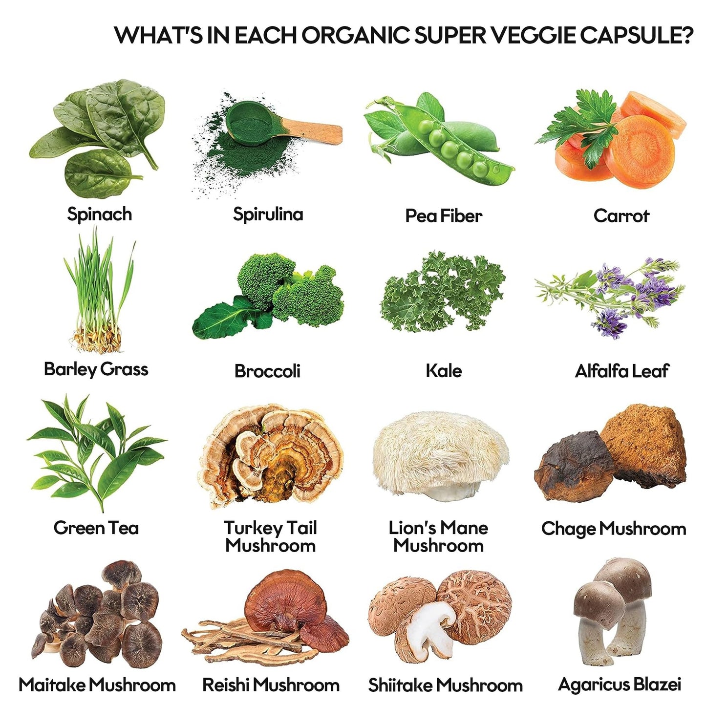 ROOTIE Fruits and Veggies Supplement Powerfull Blend of 39 Whole Fruits and Veggies Capsule 120 Capsules