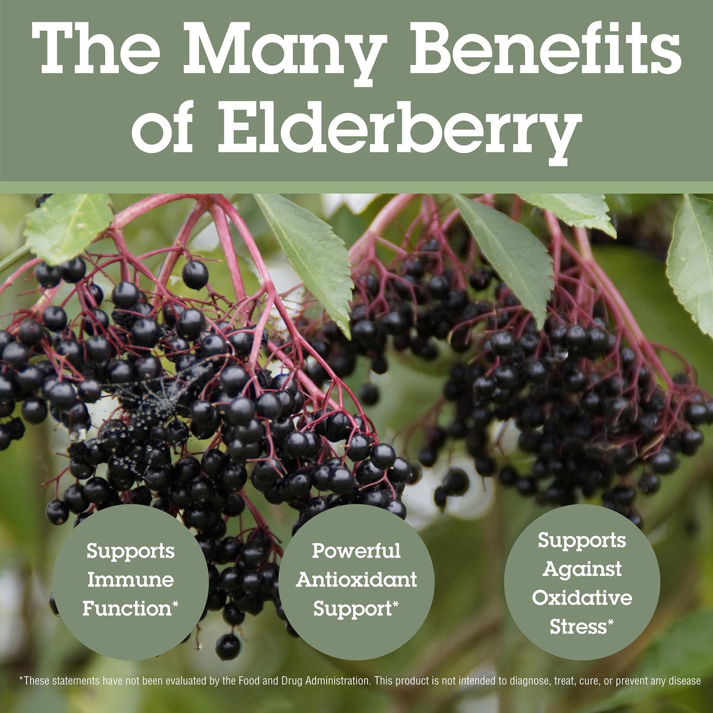 Quantum Elderberry+ Lozenges 36 Count