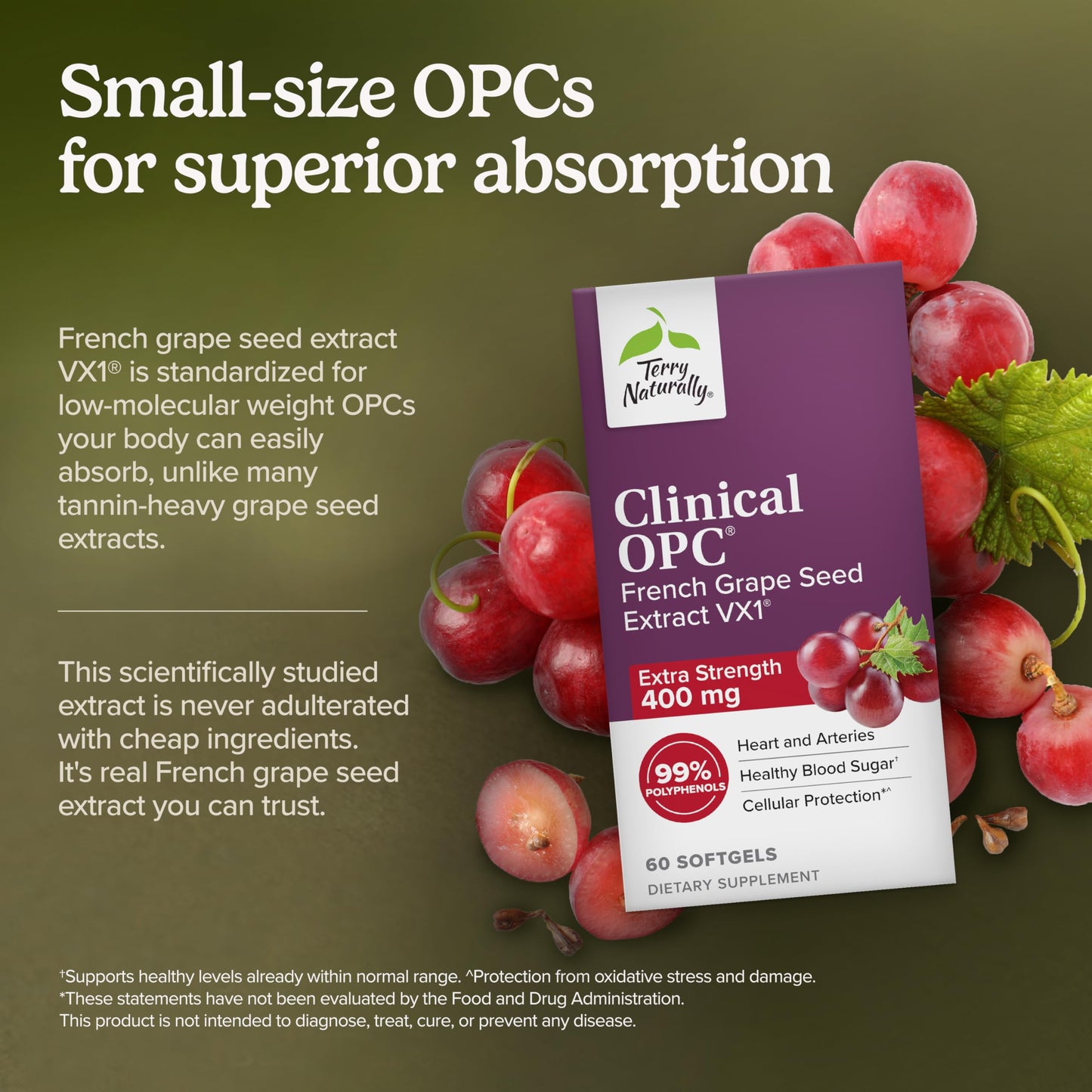 Terry Naturally Clinical OPC Extra Strength Heart Health Softgels 120