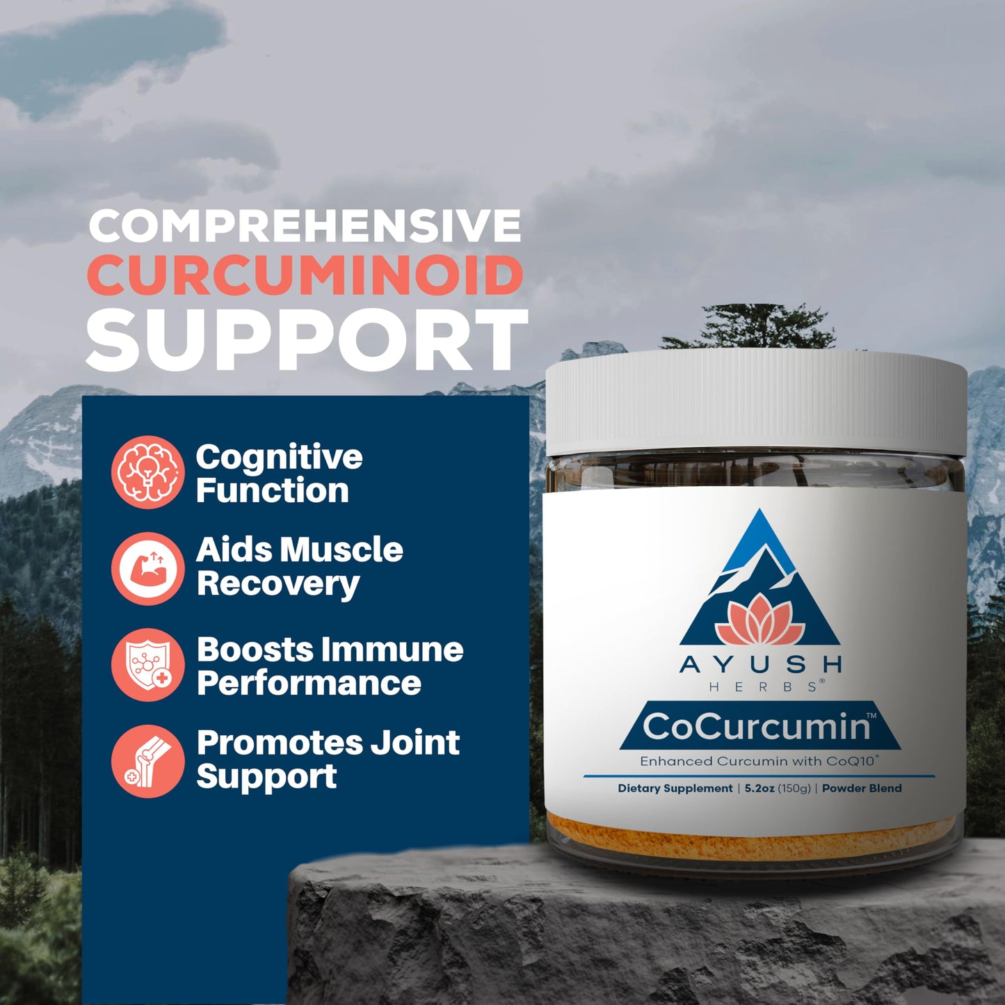 Ayush Herbs CoCurcumin Turmeric Powder with Black Pepper, CoQ10, MCT Oil 5.25 oz