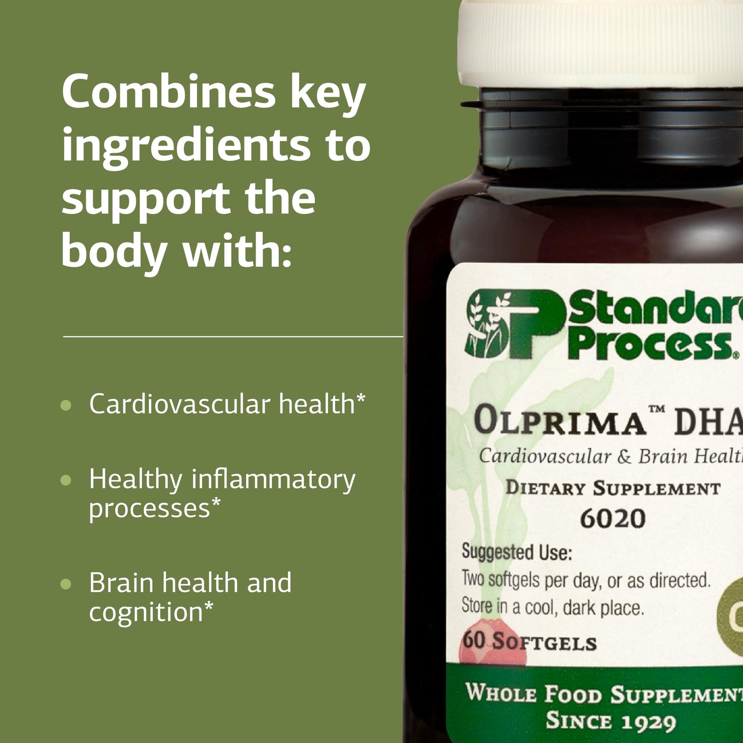 Standard Process Inc. Olprima DHA - Omega-3 Supplement for Heart & Brain Health Softgel 60