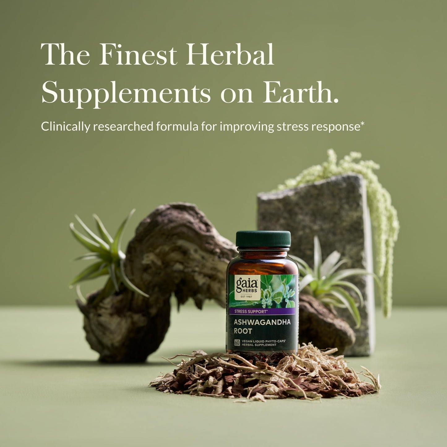 Gaia Herbs Ashwagandha Root Capsules, 60 Count