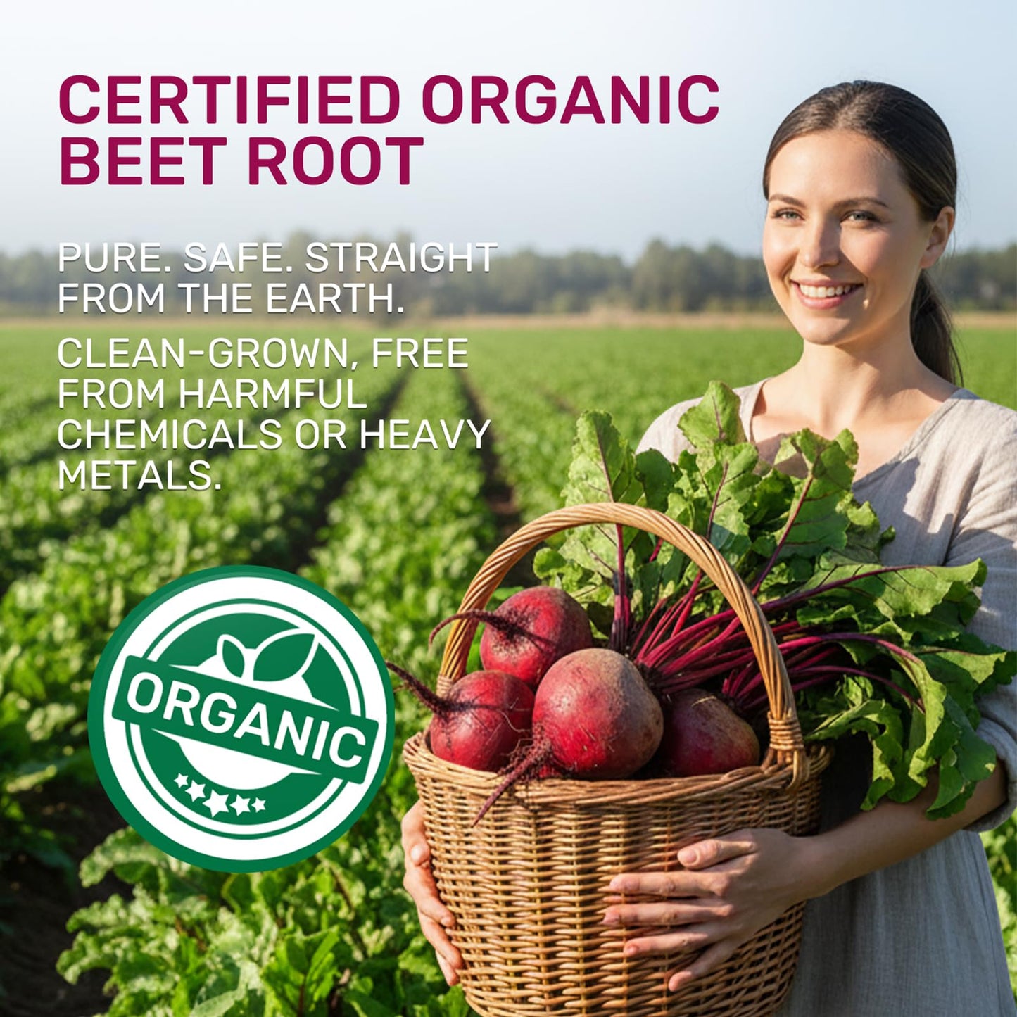 Sunshine & Rain Organic Beet Root Gummies for Nitric Oxide Support, 120 Gummies