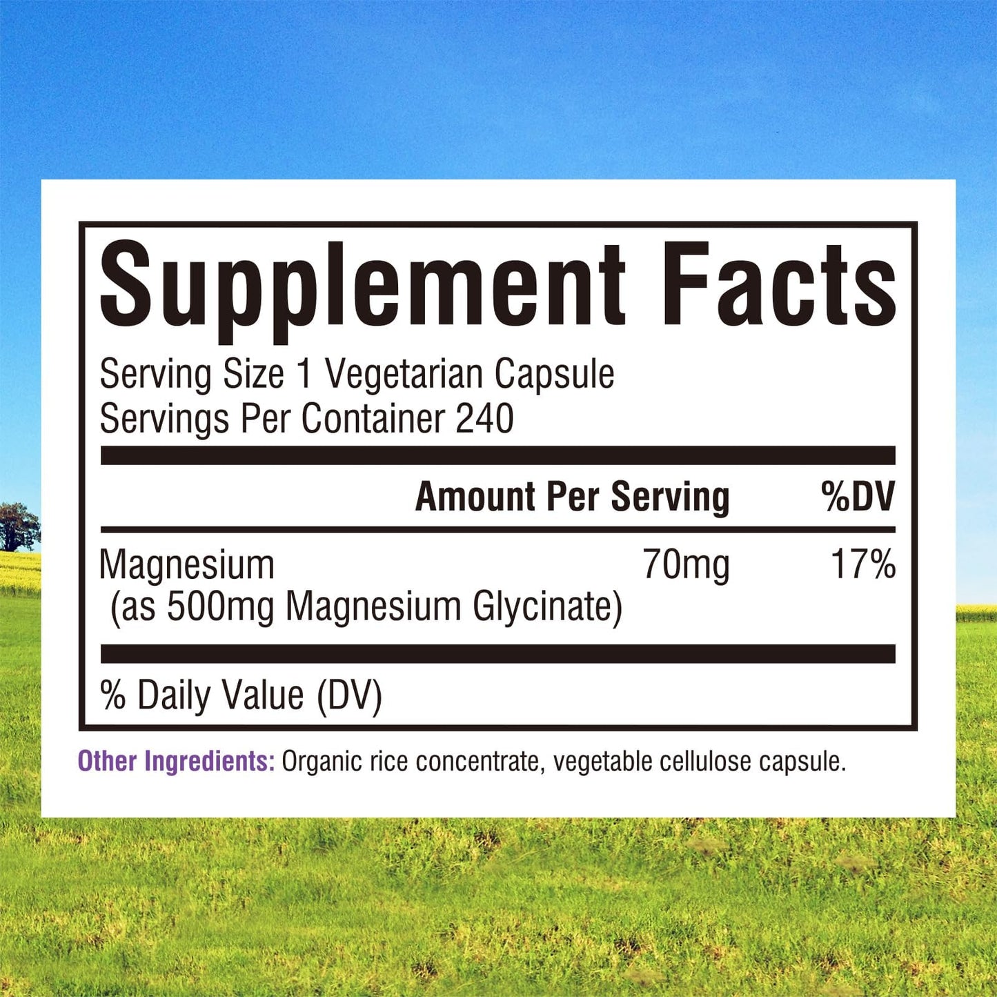 Innate Vitality Magnesium Glycinate 500mg Capsule, 240 Count